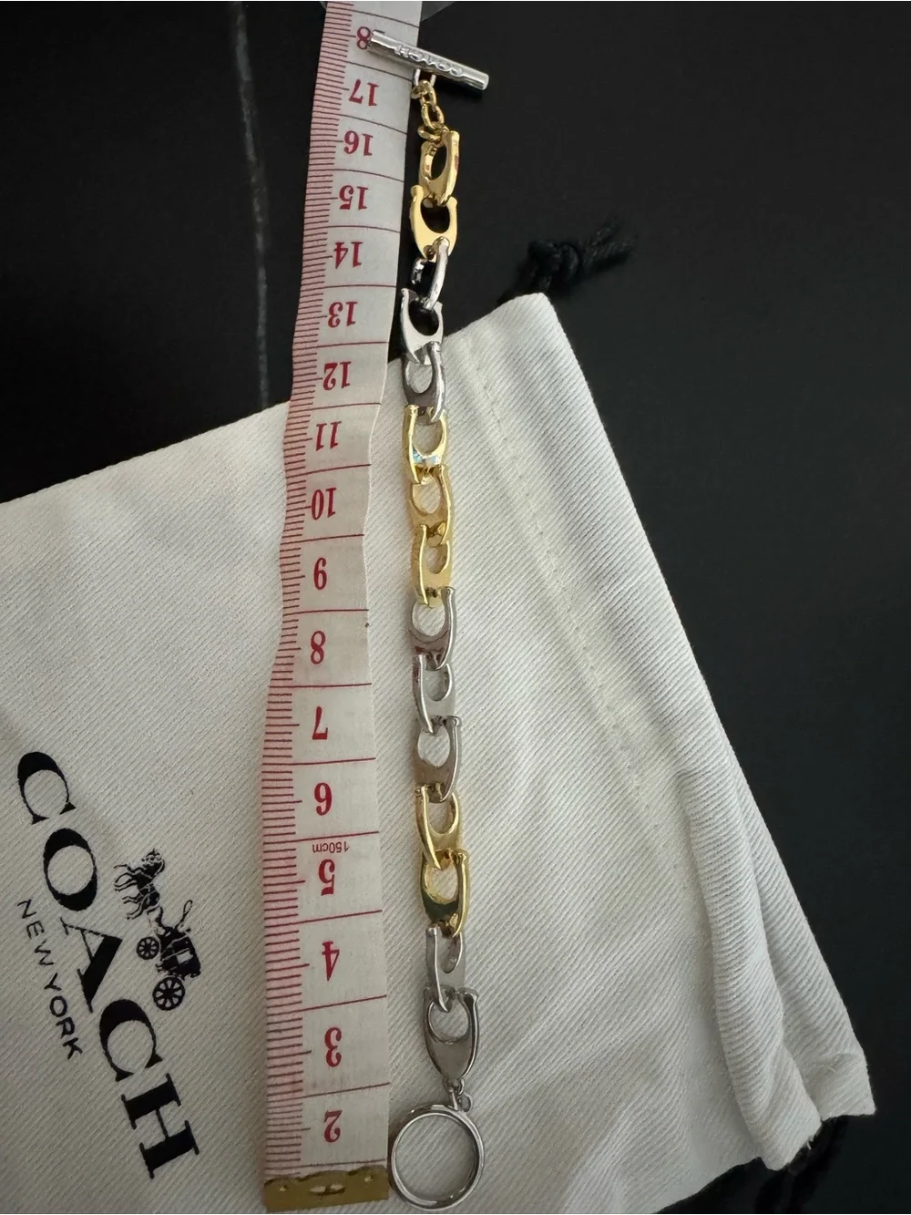 Coach Two-Tone Chain Link Bracelet — Gold & Silver